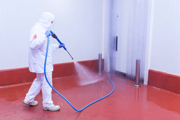 Best Spring Cleaning  in Edgewood, FL