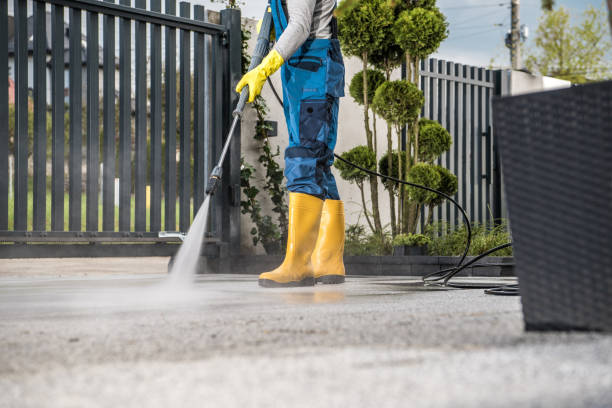 Best Roof Washing  in Edgewood, FL